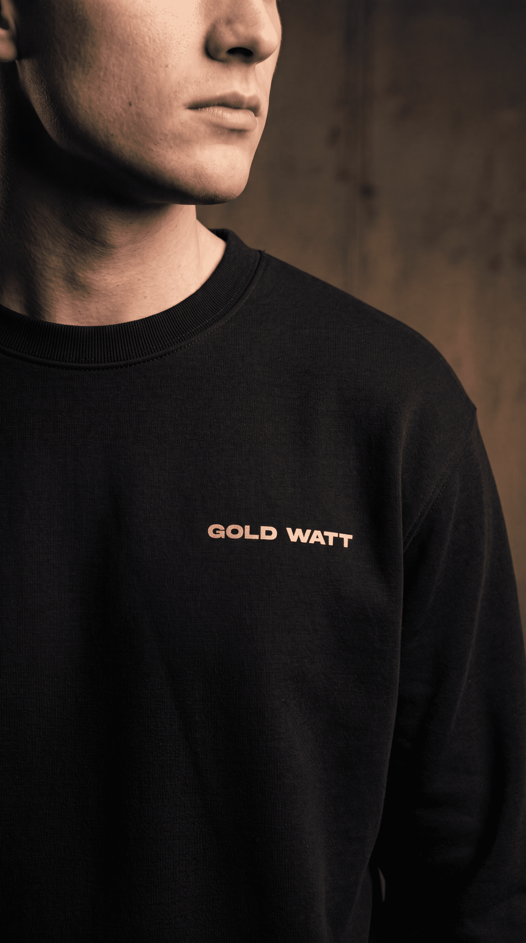 DESIGUALES Sweatshirt — Gold Watt