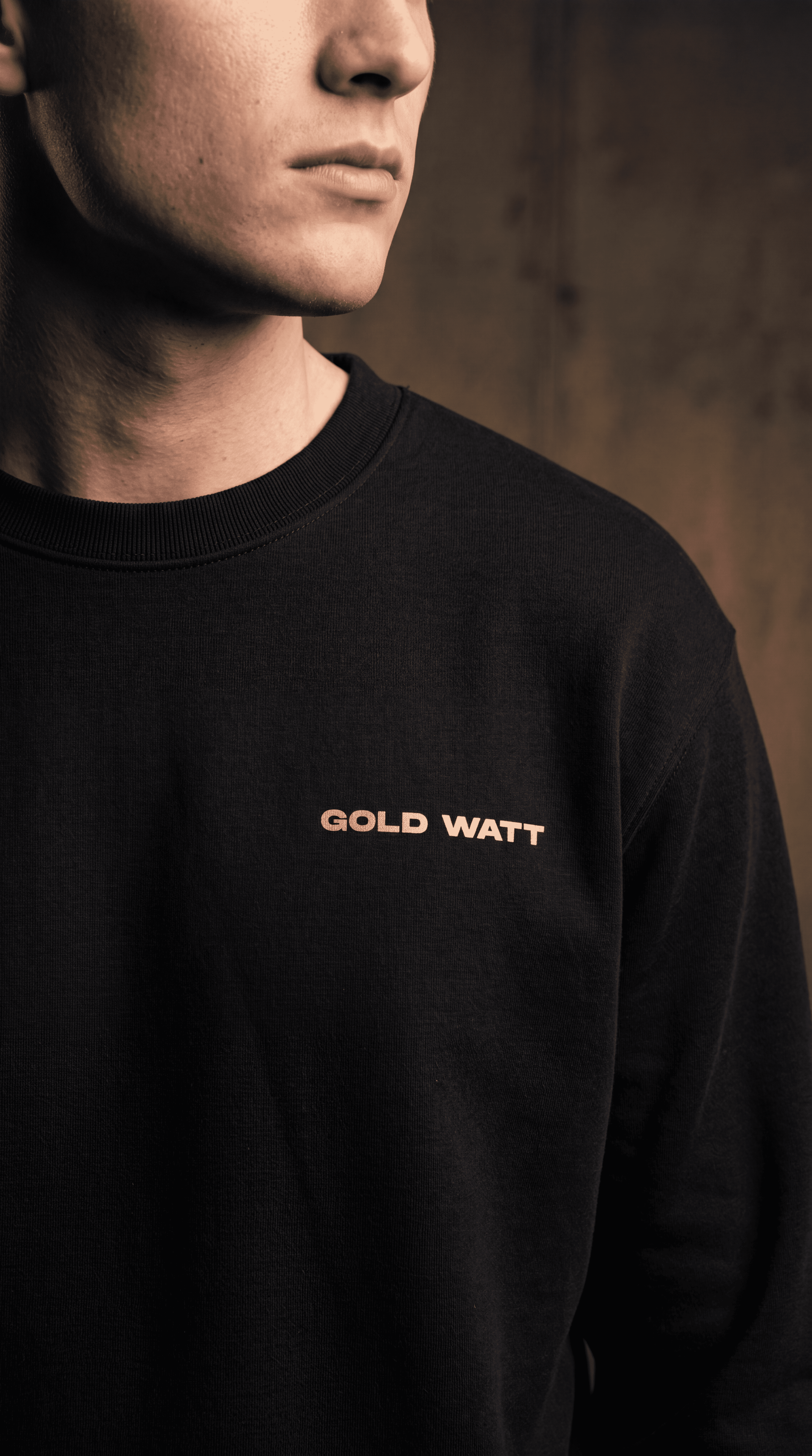 DESIGUALES Sweatshirt — Gold Watt Col. 01