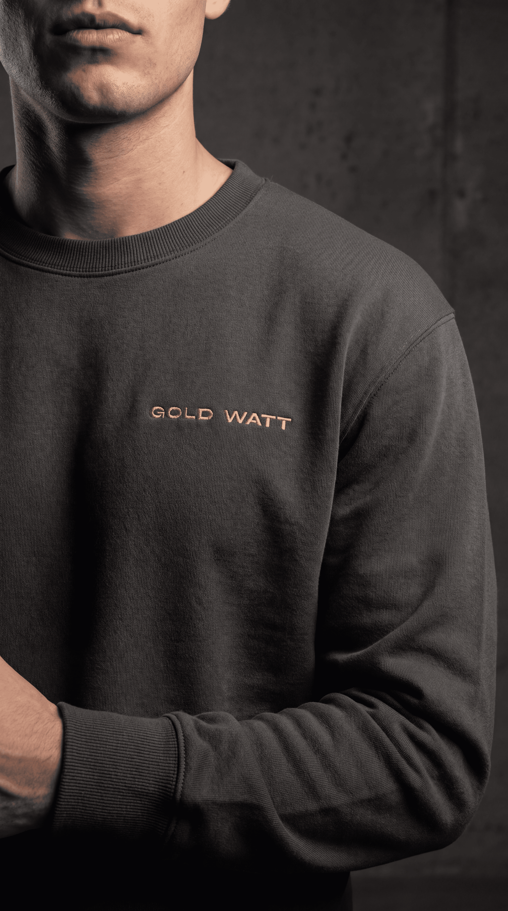 DESIGUALES Sweatshirt — Gold Watt
