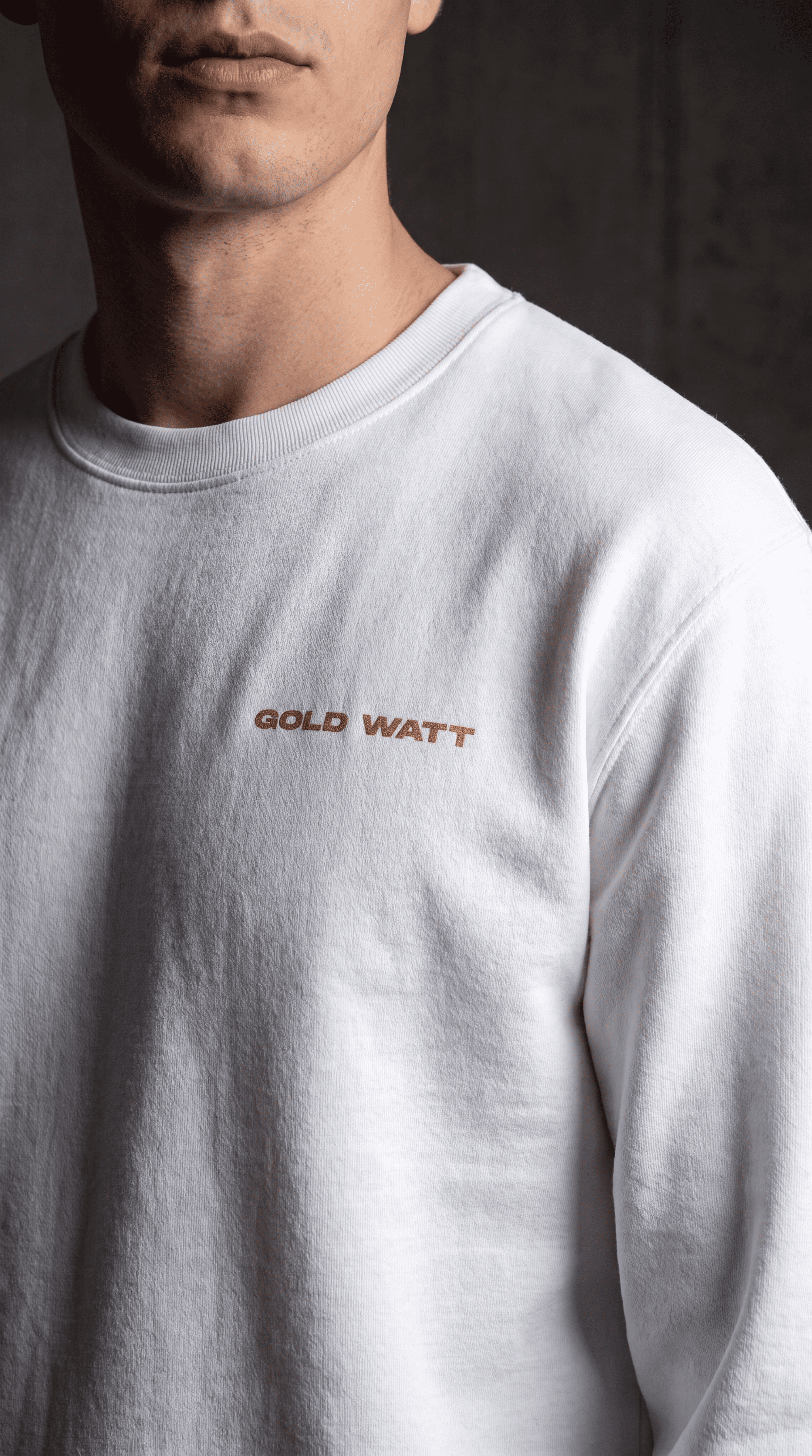 DESIGUALES Sweatshirt — Gold Watt
